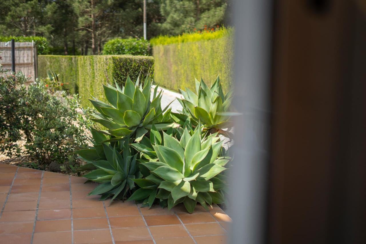 Casa Garrod - Spacious Family Villa Aljezur Εξωτερικό φωτογραφία