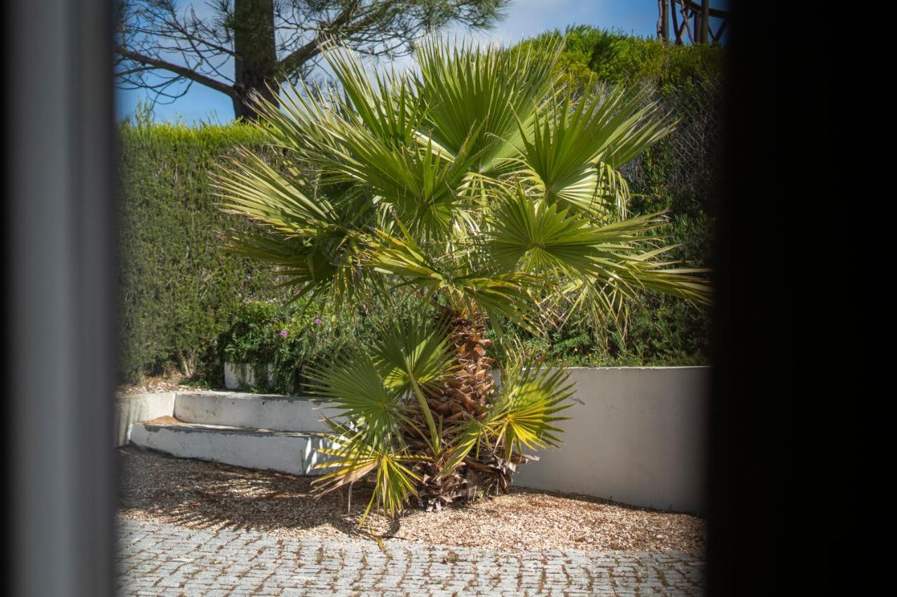 Casa Garrod - Spacious Family Villa Aljezur Εξωτερικό φωτογραφία